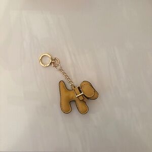 STEVE MADDEN dog chain